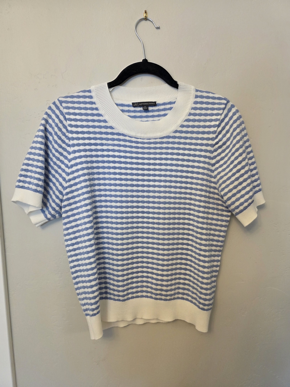 Adrianna Papell Blue and White Short-Sleeve Crewneck Sweater